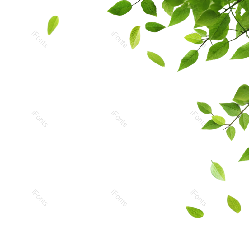 叶子图片,边框元素,装饰PNG,元素免抠素材